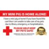 AMPA Fire & Emergency Bundle - Image 4