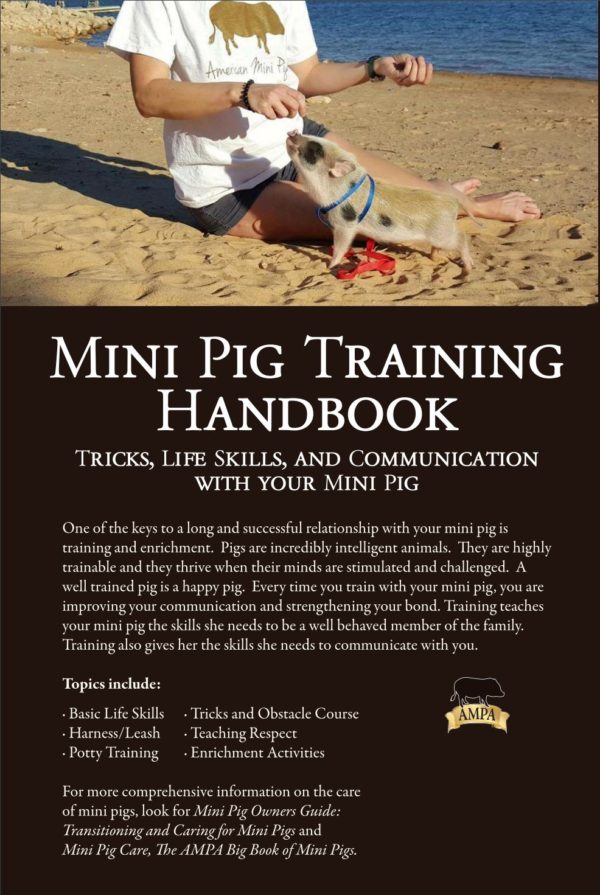 Mini Pig Training
