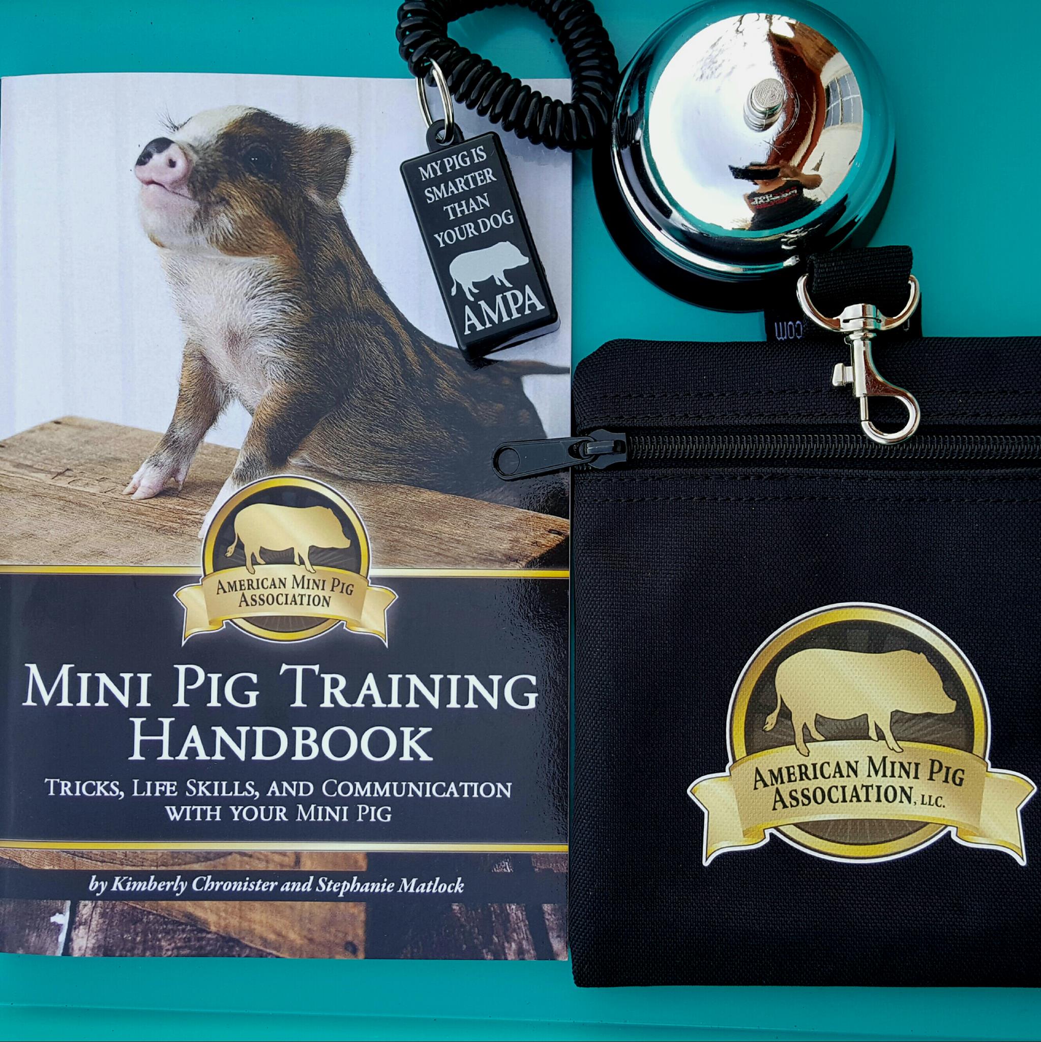 Mini Pig Agility Training Equipment - Mini Pig Training Academy