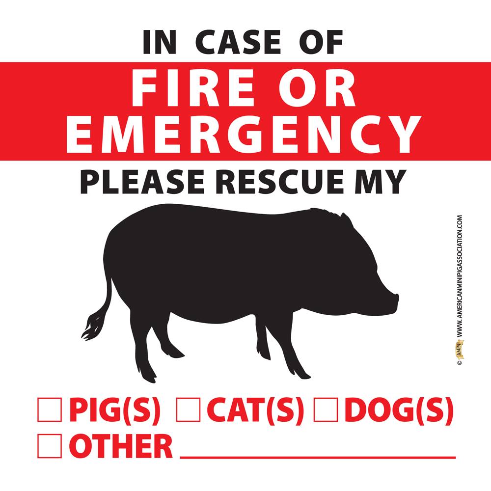 Pig Farm Animal Vinyl Die Cut Car Decal Sticker-FREE SHIPPING