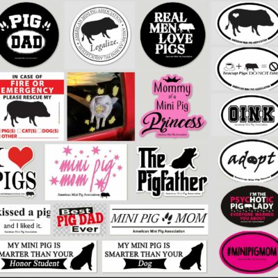 mini pig decals, mini pig stickers, pig decals, pig stickers