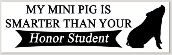 pig is smarter than your