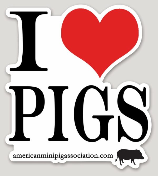 I heart pigs decal sticker