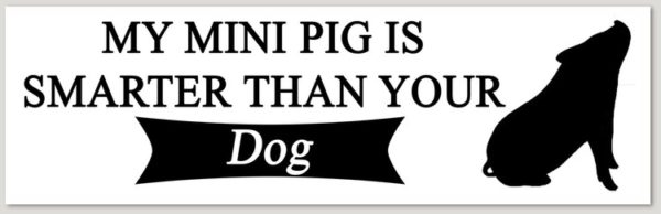 my pig is smarter than your dog decal sticker