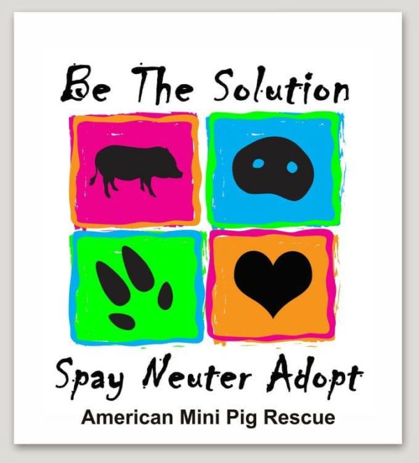 be the solution mini pig decal